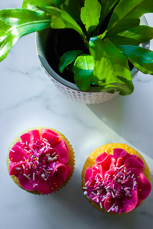 Vanilla Cupcakes with Pink Cream Cheese Frosting, sitting on white marble with a green plant in the background