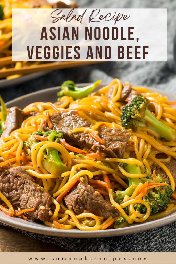 Asian Noodle, Veggies and Beef 