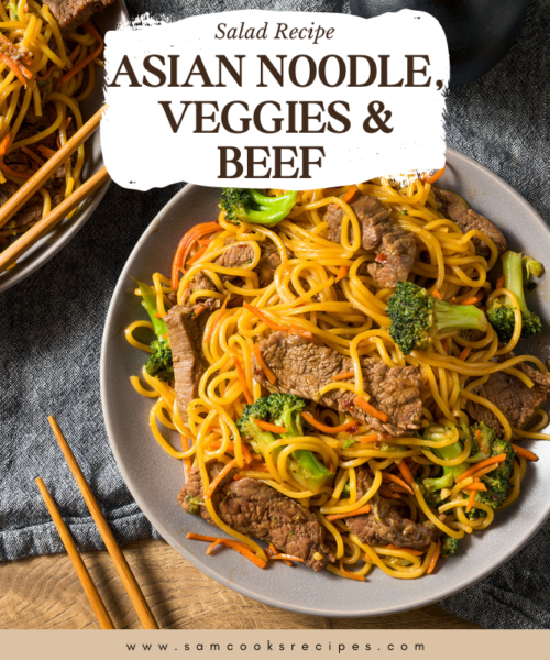 Asian Noodle, Veggies and Beef